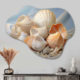 Photorealistic Seashells Collage - Asymmetric Metal Wall Art