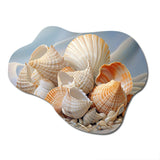 Photorealistic Seashells Collage - Asymmetric Metal Wall Art