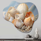 Photorealistic Seashells Collage - Asymmetric Metal Wall Art