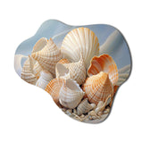 Photorealistic Seashells Collage - Asymmetric Metal Wall Art