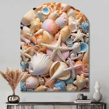 Seashell Realistic Treasures Realism - Asymmetric Metal Wall Art