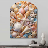 Seashell Realistic Treasures Realism - Asymmetric Metal Wall Art