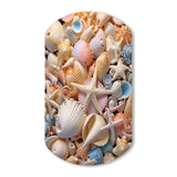 Seashell Realistic Treasures Realism - Asymmetric Metal Wall Art