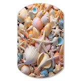 Seashell Realistic Treasures Realism - Asymmetric Metal Wall Art