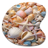 Seashell Realistic Treasures Realism - Asymmetric Metal Wall Art