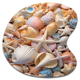 Seashell Realistic Treasures Realism - Asymmetric Metal Wall Art