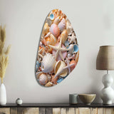 Seashell Realistic Treasures Realism - Asymmetric Metal Wall Art