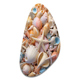 Seashell Realistic Treasures Realism - Asymmetric Metal Wall Art