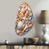 Seashell Realistic Treasures Realism - Asymmetric Metal Wall Art