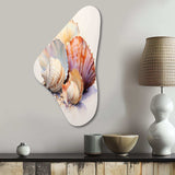 Watercolor White Seashells Collage I - Asymmetric Metal Wall Art