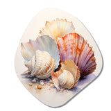 Watercolor White Seashells Collage I - Asymmetric Metal Wall Art