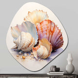 Watercolor White Seashells Collage I - Asymmetric Metal Wall Art