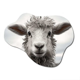 Sheep Serenity - Asymmetric Metal Wall Art