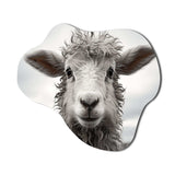 Sheep Serenity - Asymmetric Metal Wall Art