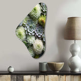 Green Succulents Flowers Serene Succulents II - Asymmetric Metal Wall Art