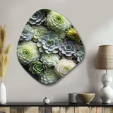 Green Succulents Flowers Serene Succulents II - Asymmetric Metal Wall Art