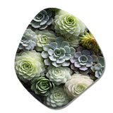 Green Succulents Flowers Serene Succulents II - Asymmetric Metal Wall Art