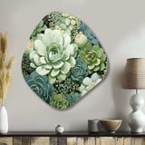 Green Succulents Flowers Serene Succulents IV - Asymmetric Metal Wall Art