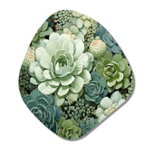 Green Succulents Flowers Serene Succulents IV - Asymmetric Metal Wall Art