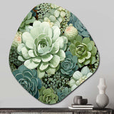 Green Succulents Flowers Serene Succulents IV - Asymmetric Metal Wall Art