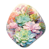 Green Pink Succulents Succulent Serenade - Asymmetric Metal Wall Art