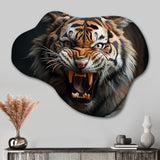 Brown Fierce Tiger Portrait II - Asymmetric Metal Wall Art