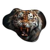 Brown Fierce Tiger Portrait II - Asymmetric Metal Wall Art