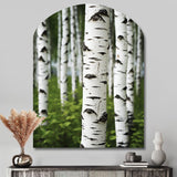 White Green Birch Tree Whispers III - Asymmetric Metal Wall Art