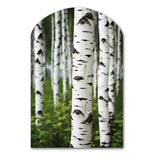 White Green Birch Tree Whispers III - Asymmetric Metal Wall Art