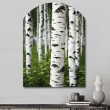 White Green Birch Tree Whispers III - Asymmetric Metal Wall Art