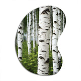 White Green Birch Tree Whispers III - Asymmetric Metal Wall Art