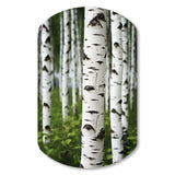 White Green Birch Tree Whispers III - Asymmetric Metal Wall Art