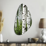 White Green Birch Tree Whispers III - Asymmetric Metal Wall Art