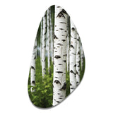 White Green Birch Tree Whispers III - Asymmetric Metal Wall Art