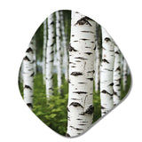 White Green Birch Tree Whispers III - Asymmetric Metal Wall Art