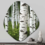 White Green Birch Tree Whispers III - Asymmetric Metal Wall Art