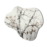 Monochrome Tree Whispers Of Gray And White II - Asymmetric Metal Wall Art