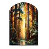 Redwood Shimmering Tree Heights I - Asymmetric Metal Wall Art