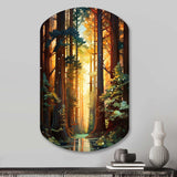 Redwood Shimmering Tree Heights I - Asymmetric Metal Wall Art