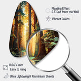 Redwood Shimmering Tree Heights I - Asymmetric Metal Wall Art