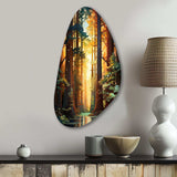 Redwood Shimmering Tree Heights I - Asymmetric Metal Wall Art