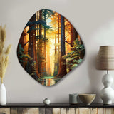 Redwood Shimmering Tree Heights I - Asymmetric Metal Wall Art