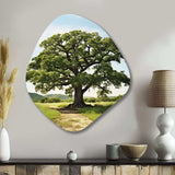 Green Trees Oak Mighty Oak - Asymmetric Metal Wall Art