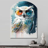 Cool White Owl With Funky Sunglasses II - Asymmetric Metal Wall Art