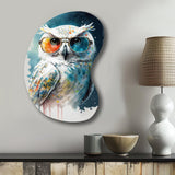 Cool White Owl With Funky Sunglasses II - Asymmetric Metal Wall Art