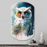 Cool White Owl With Funky Sunglasses II - Asymmetric Metal Wall Art