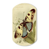 Vintage Illustration Of Butterfly III - Asymmetric Metal Wall Art