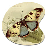 Vintage Illustration Of Butterfly III - Asymmetric Metal Wall Art