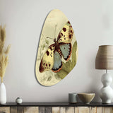 Vintage Illustration Of Butterfly III - Asymmetric Metal Wall Art