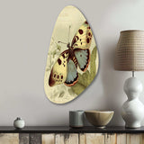 Vintage Illustration Of Butterfly III - Asymmetric Metal Wall Art